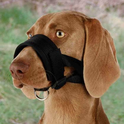 TRIXIE Nylon Ribbon Muzzle, Training, XL-XXL, Black, Dog