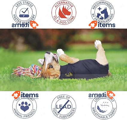 MPS Medical Pet Shirt - TAZ, Single Front Leg Sleeve for Dog, Medium