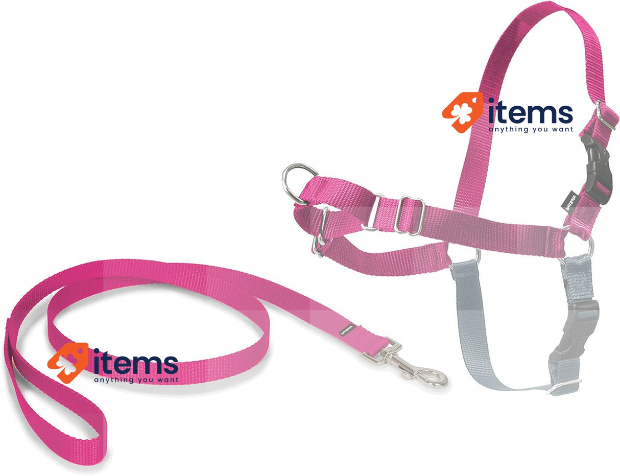 PetSafe Easy Walk Harness, No-Pull Walking Harness for Dogs Medium-Raspberry