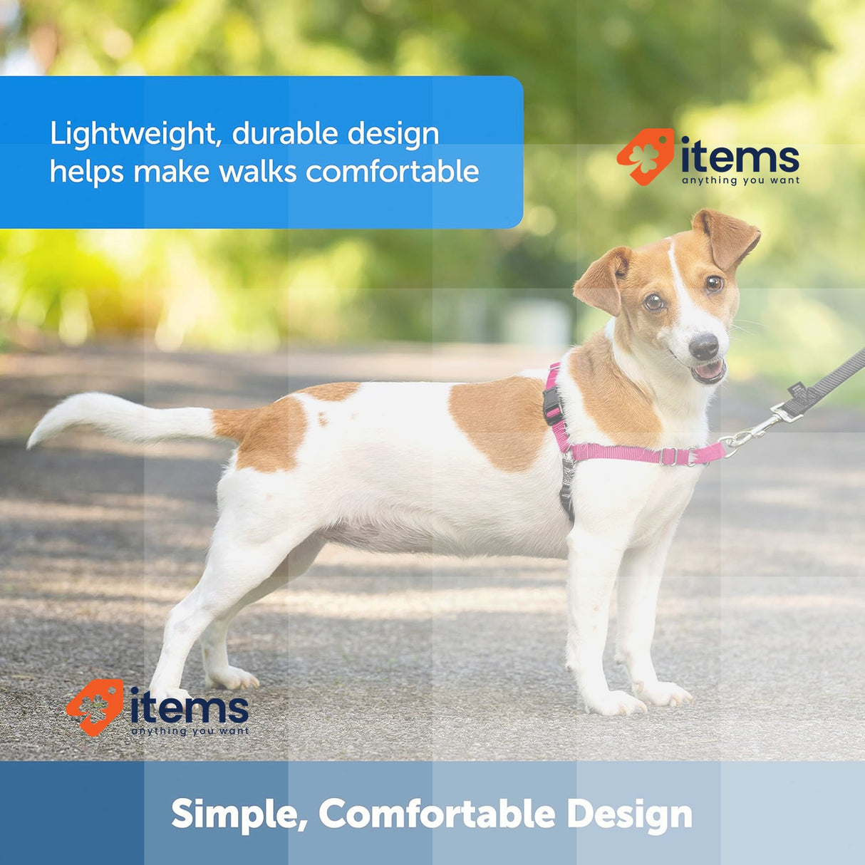 PetSafe Easy Walk Harness, No-Pull Walking Harness for Dogs Medium-Raspberry