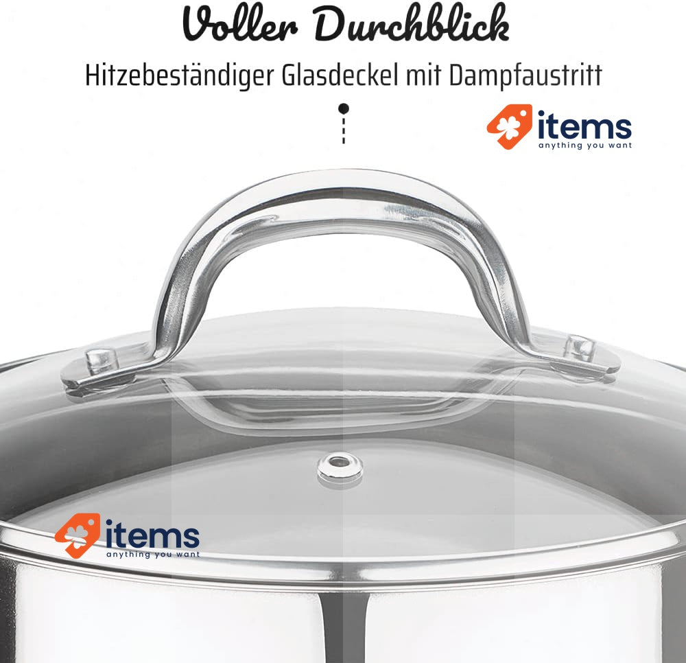 GSW Stahlwaren GmbH Stock Pot with Glass Lid, Silver/Clear, 20 x 18 cm, 5 Litre