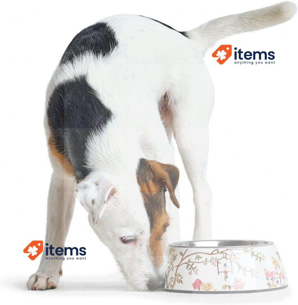 HUNTER Melamine Mogami Feeding Bowl, 700 ml, Medium, White/Multicolor