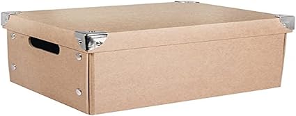 RAYHER 67258000 Foldable Storage Box Organiser With Lid For Craft Supplies