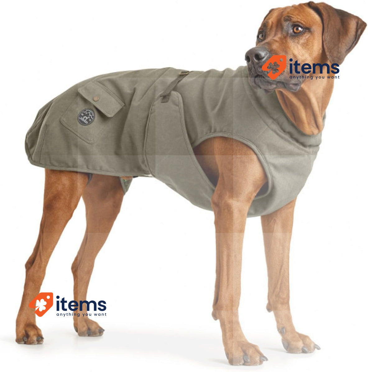 HUNTER UPPSALA TREND Dog Coat, Parker, With Cotton, Lined, 55, Khaki Clothing