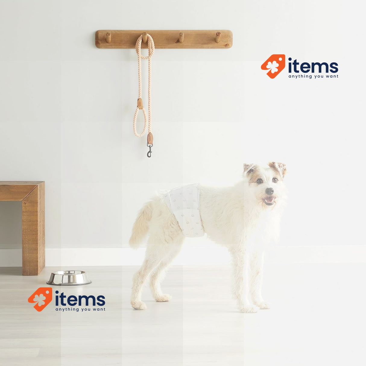 Amazon Basics Male Dog Wrap, Disposable Nappies - M, Pack of 50, White