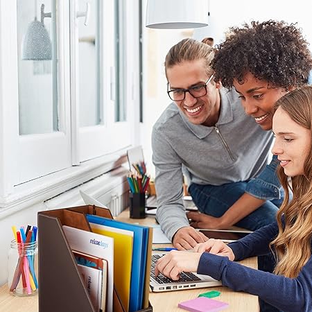 Relaxdays Filing Cabinet, Artificial Leather, 2 Compartments Black