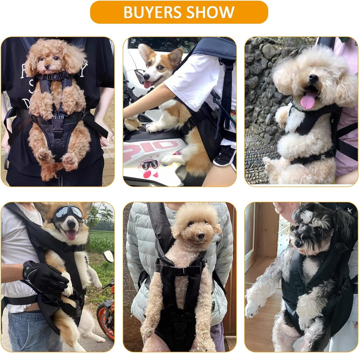 ALLSOPETS Portable Cat Carrier Bag