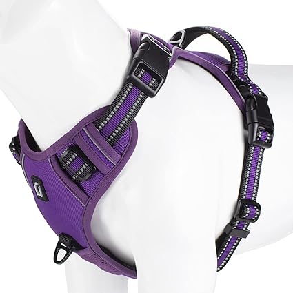 Arnes Dog Harness For Big/Medium/Small Training