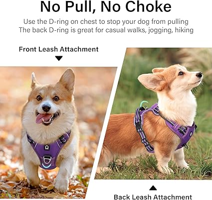 Arnes Dog Harness For Big/Medium/Small Training