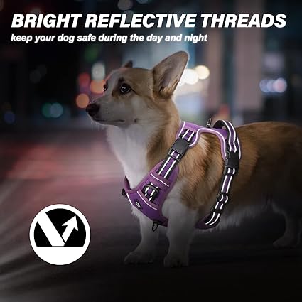 Arnes Dog Harness For Big/Medium/Small Training