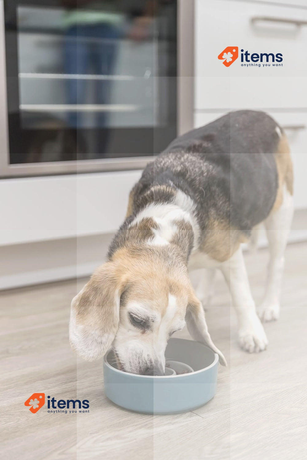 Trixie Slow Feeding Bowl Ceramic 0.45 L/ 14 Cm Grey/Blue - 0.45L 14CM
