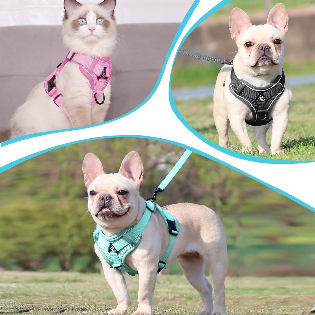 Adjustable Cat Harness Green L