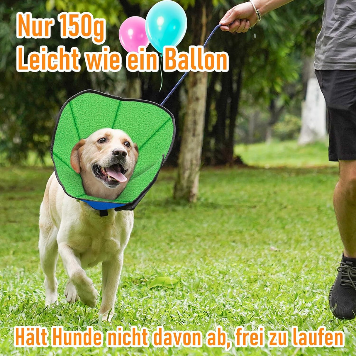 UVTQSSP Collar for Dogs, Lick Protection Blue & Green XL