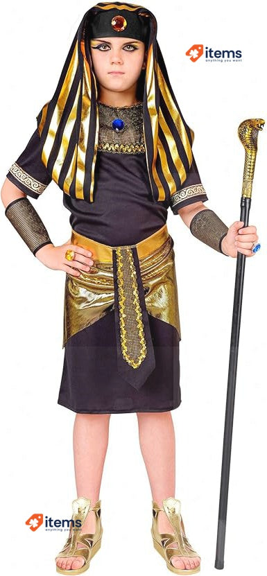 WIDMANN Kids Pharaoh Costume Pharaoh Costume for Kids Boys (Pack of 1) W WIDMANN