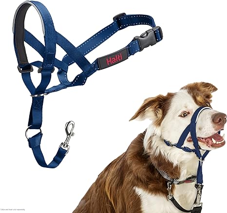 Company of Animals Headcollar To Stop Your Dog Pulling on the Lead Cobalt Blue