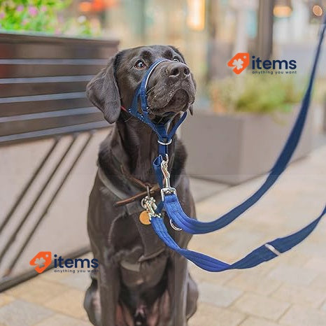 Company Of Animals Headcollar To Stop Your Dog Pulling On The Lead Cobalt Blue