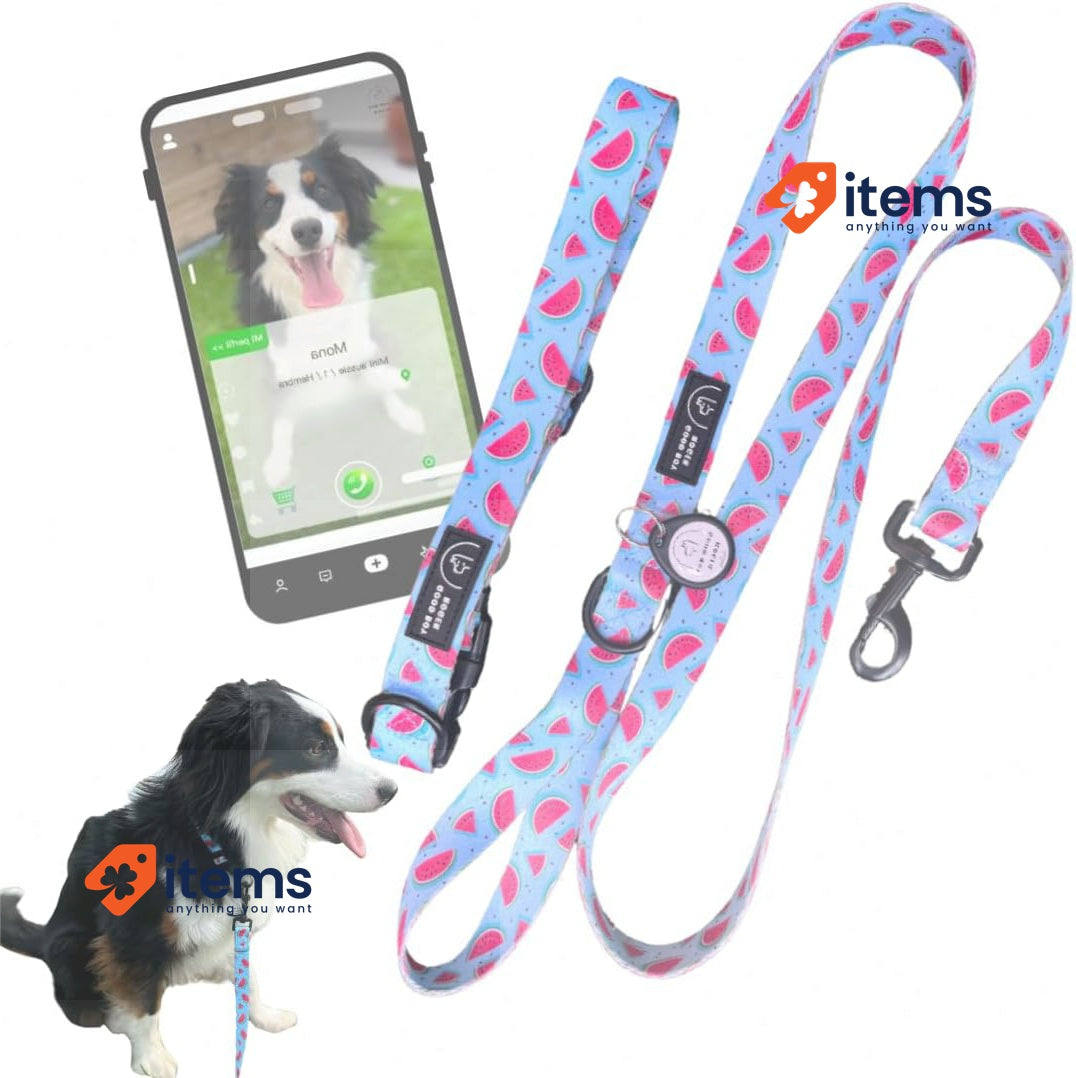 Good Boy Roger Localizable Dog and Cat Collar Small Watermelon Subscription Have