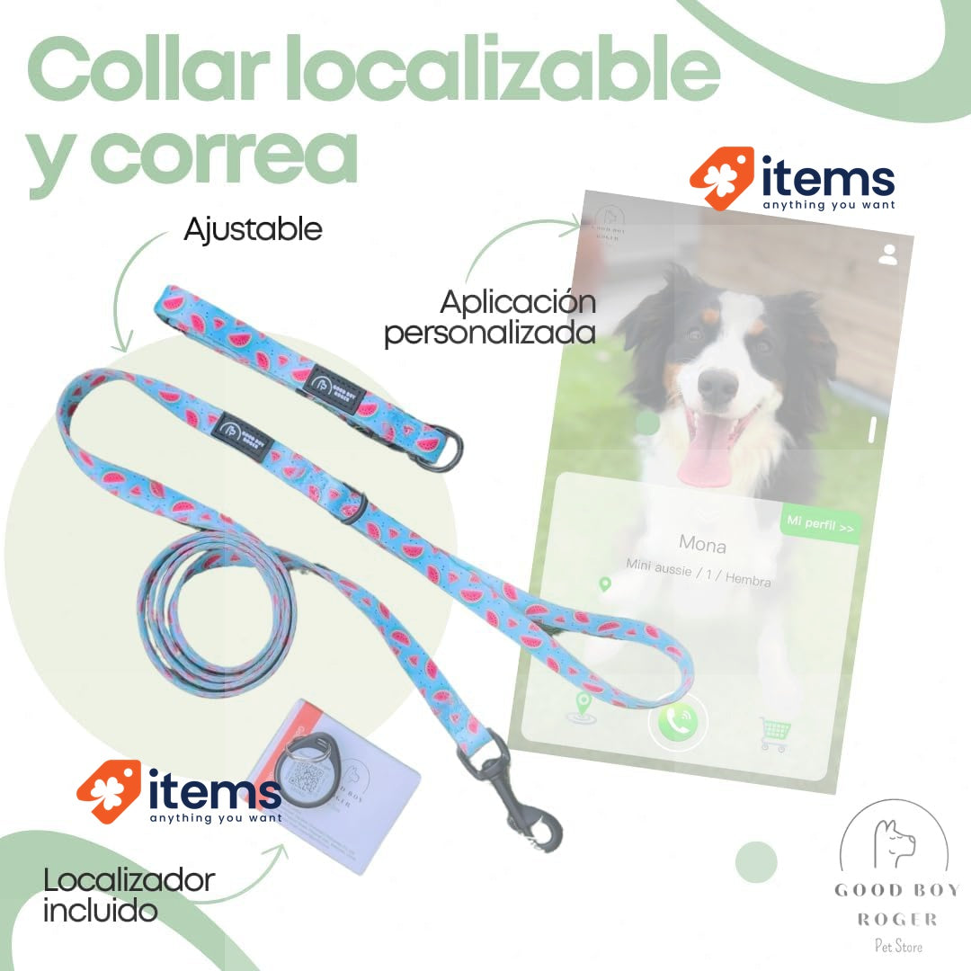 Good Boy Roger Localizable Dog and Cat Collar Small Watermelon Subscription Have