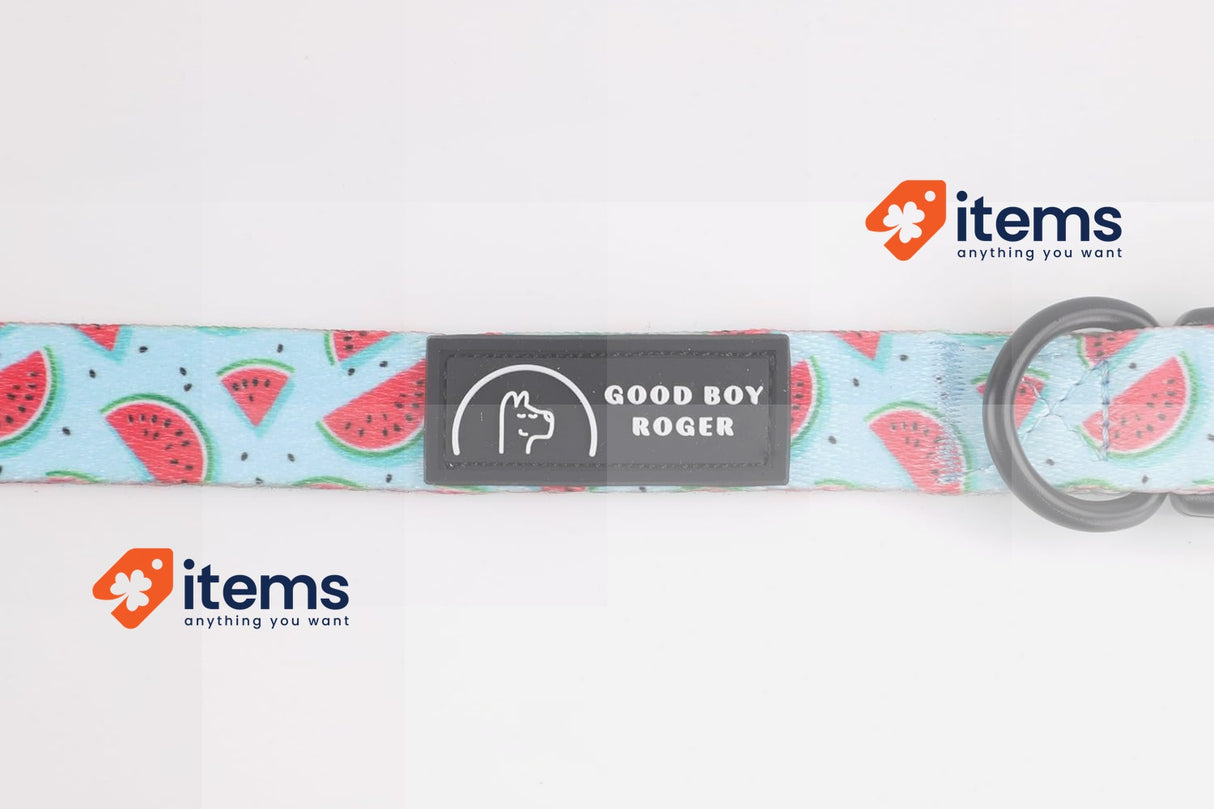 Good Boy Roger Localizable Dog and Cat Collar Small Watermelon Subscription Have