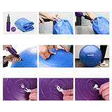 PROIRON Extra Thick Exercise Yoga Ball with Postures 65 cm Purple