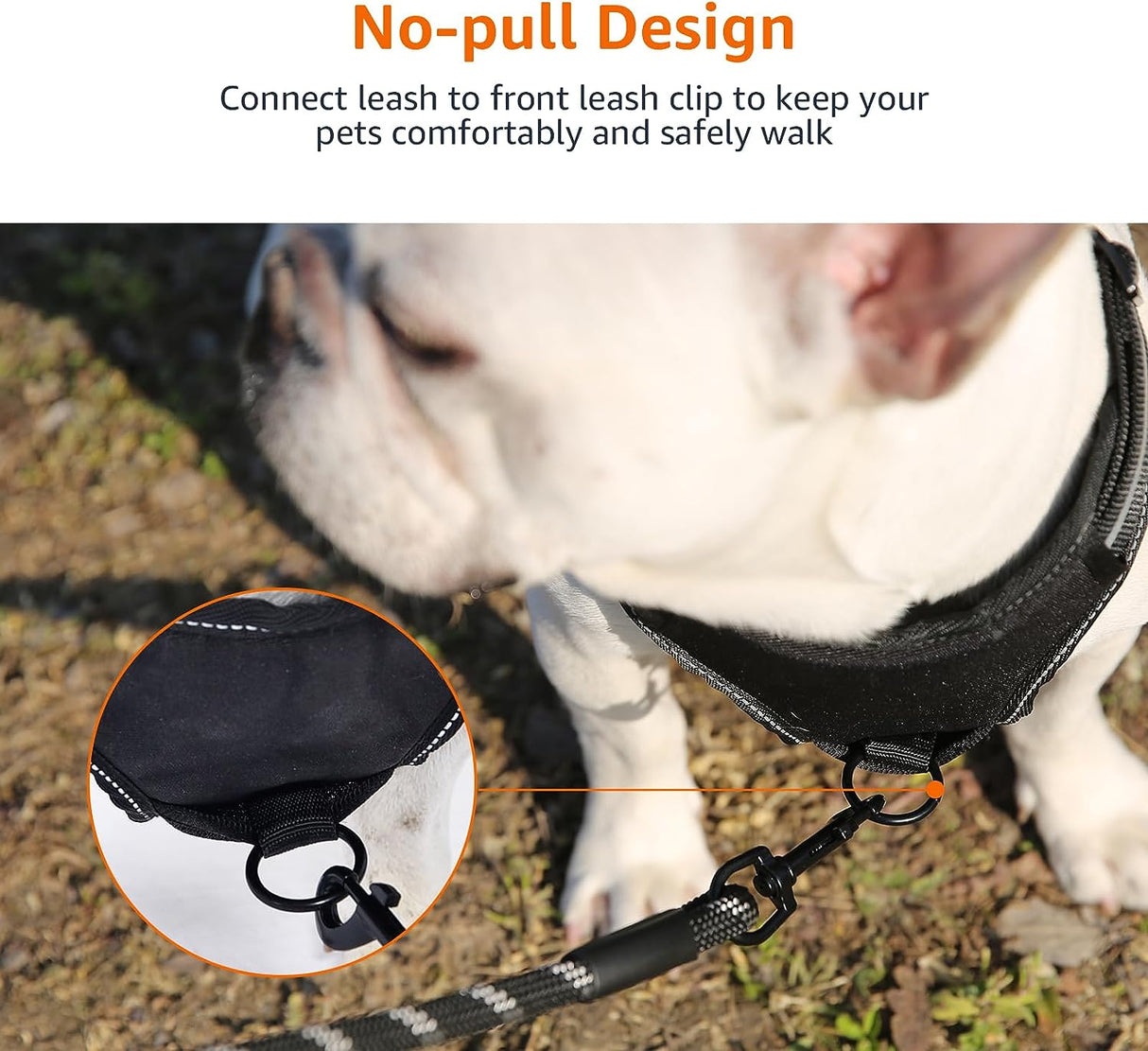 Amazon Basics No-Pull Dog Vest Harness