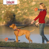 HALTI Front Control Harness, Size Medium, Bestselling Professional Dog Harness