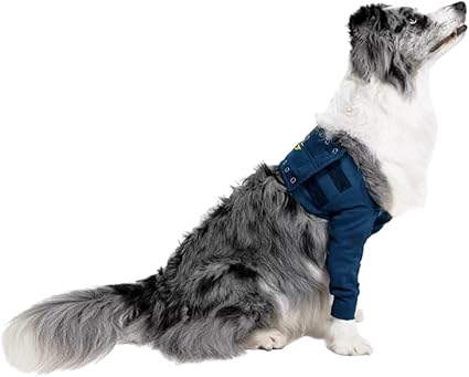 MPS Medical Pet Shirt - TAZ, Single Front Leg Sleeve for Dog, Medium