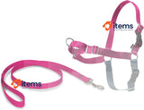 PetSafe Easy Walk Harness, No-Pull Walking Harness for Dogs Medium-Raspberry