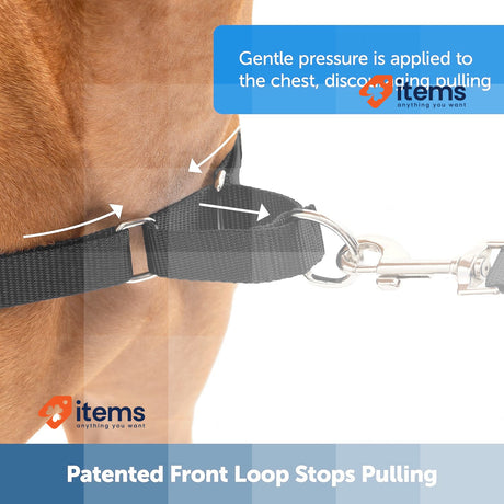 PetSafe Easy Walk Harness, No-Pull Walking Harness for Dogs Medium-Raspberry