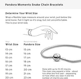 Pandora 590728 Women's Bracelet - 925/1000 Sterling Silver