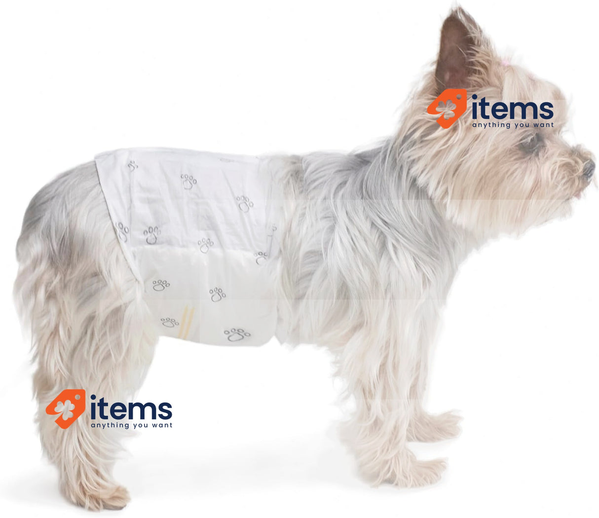 Amazon Basics Male Dog Wrap, Disposable Diapers, X-Small, Pack of 30, White