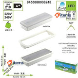 LED Auto Emergency Light White LED Autonomous 3 W 6400 Recessed Installation