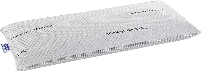 Todocama Natural Carbon Viscoelastic Pillow, Grey, 1 Unit (Pack of 1)