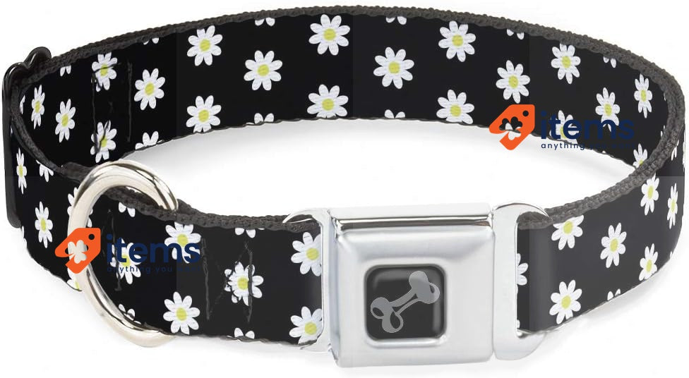 Buckle Down Seatbelt Buckle Dog Collar, Daisies Scattered Black/White/Yellow