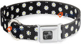 Buckle Down Seatbelt Buckle Dog Collar, Daisies Scattered Black/White/Yellow