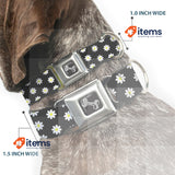 Buckle Down Seatbelt Buckle Dog Collar, Daisies Scattered Black/White/Yellow