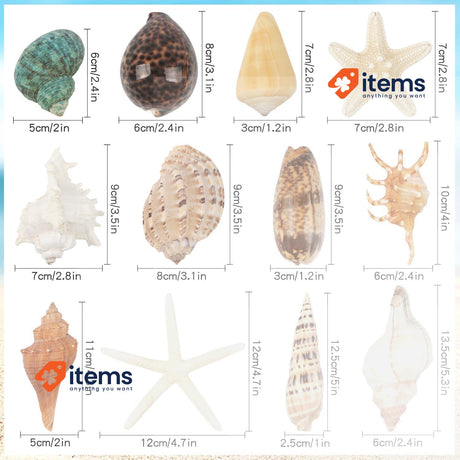 Fangoo 12 PCS Large Seashells Mixed Beach Sea Shells and Ocean Tank Decor