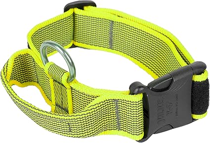 Julius-K9 Color and Gray Collar with Handle 38-53 cm Neon-Gray