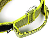 Julius-K9 Color and Gray Collar with Handle 38-53 cm Neon-Gray