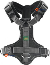 HUNTER Maldon Harness Black / Grey Size S-M