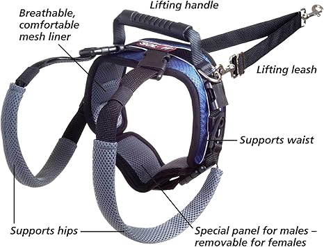 PetSafe Rear Support Harness Lifting aid with handle Black Large