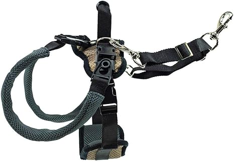 PetSafe CareLift Rear Support Harness - Lifting Aid with Handle Medium Black