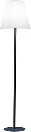 Lumisky Standy Wireless Floor Lamp with Metal Base