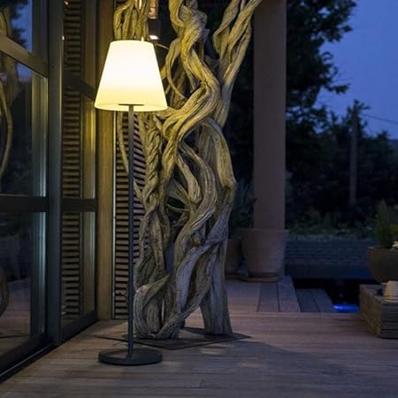 Lumisky Standy Wireless Floor Lamp with Metal Base