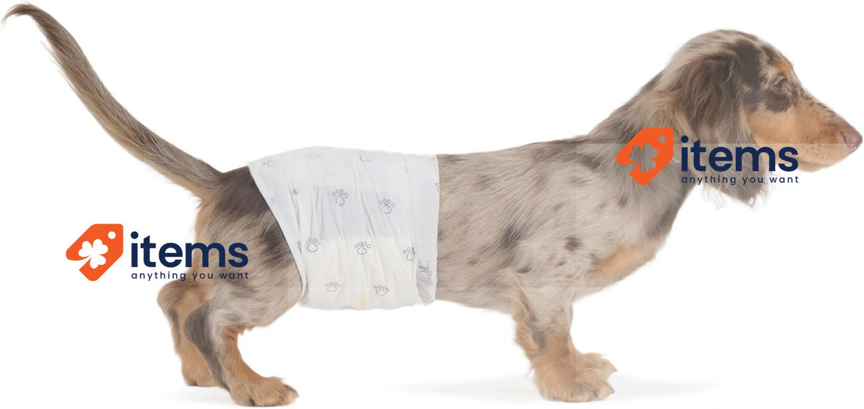 Amazon Basics Disposable Nappies for Male Dogs Only, Pack of 50 Small White Wrap