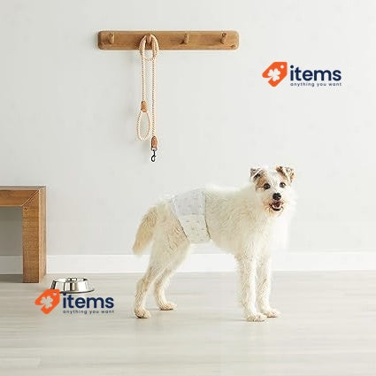 Amazon Basics Male Dog Wrap, Disposable Nappies - M, Pack of 50, White