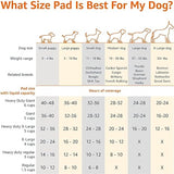 Amazon Basics Dog and Puppy Training Pads Leakproof