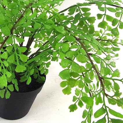 Leaf Artificial Plant with Pot, Maidenhair Fern, 35cm