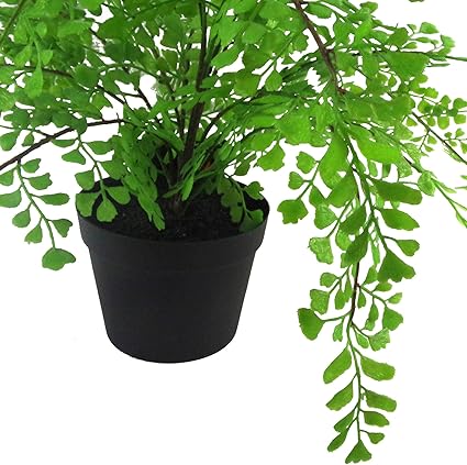 Leaf Artificial Plant with Pot, Maidenhair Fern, 35cm