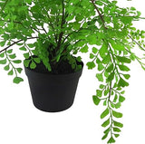 Leaf Artificial Plant with Pot, Maidenhair Fern, 35cm